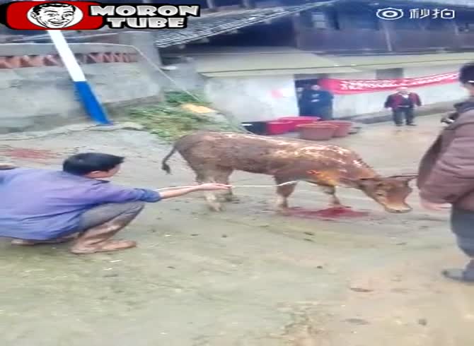 Video :Among the worst videos that has ever released